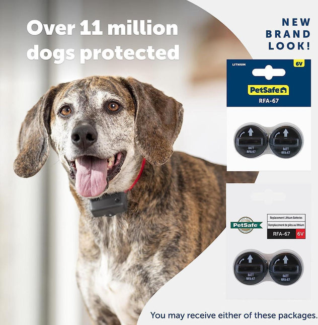 Petsafe Lithiumbatterie 6 Volt Pack 2 Stück