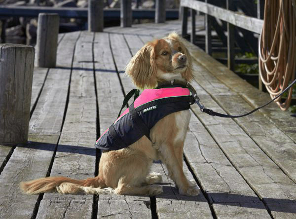 AnimalstoreXL Baltic hondenzwemvest Mascot roze/zwart
