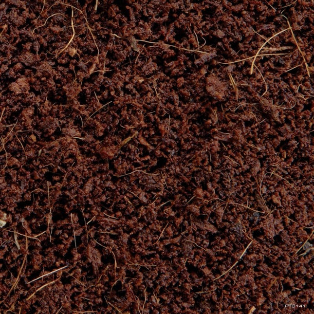 AnimalstoreXL Bamboe Bossubstraat 2-in-1 8,8L