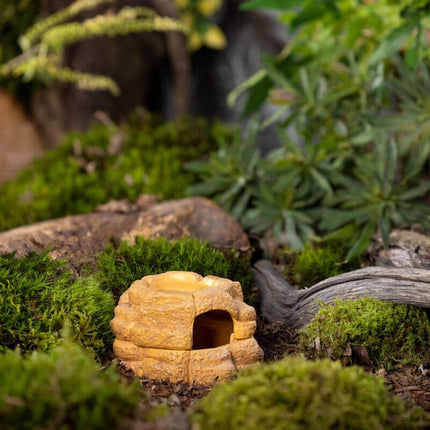 AnimalstoreXL Big Rock Groot - Met Vochtregulatie