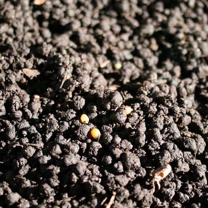 AnimalstoreXL Bio Revitaliser 450g