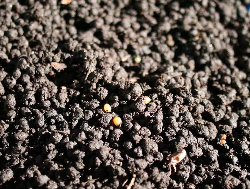 AnimalstoreXL Bio Revitaliser 450g