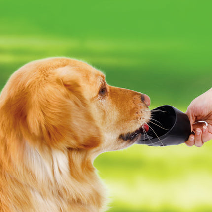 AnimalstoreXL Boon Drinkfles Draagbaar met Karabijnh.Alu 600ml