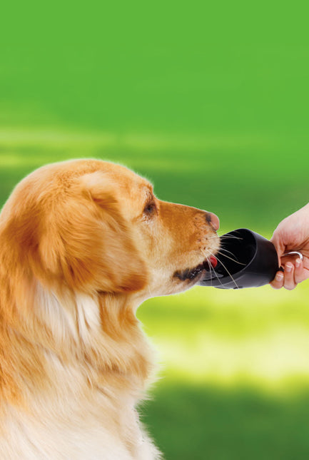 AnimalstoreXL Boon Drinkfles Draagbaar met Karabijnh.Alu 600ml