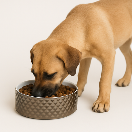 Boon Futternapf Stein Hund Prestige Silber Weiß 18cm