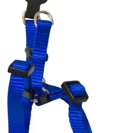 AnimalstoreXL Boon Tuig BH Nylon Blauw 10mm H25 B35