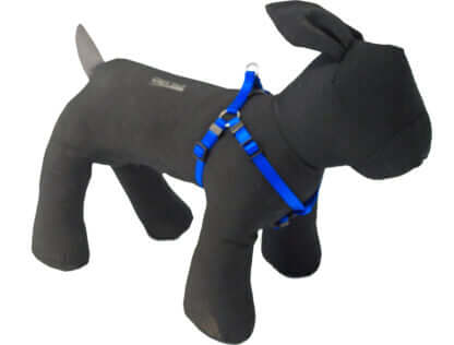 AnimalstoreXL Boon Tuig BH Nylon Blauw 10mm H25 B35