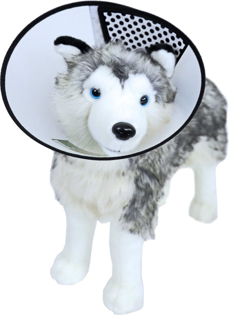 AnimalstoreXL Boon Beschermkraag