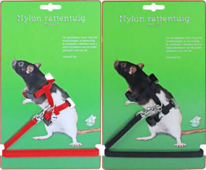 AnimalstoreXL Boon Rattentuig met Lijn Rood