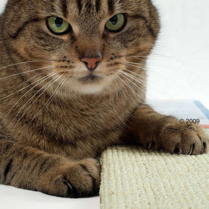 Boon Sisal & Plüsch Kratzbaum - Brett, Pfahl & Eckmodell 3 Farben