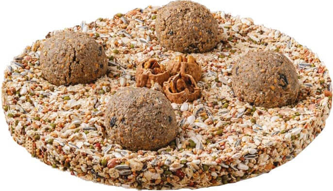 AnimalstoreXL Boon Voedertaart met Mezenbollen 24cm