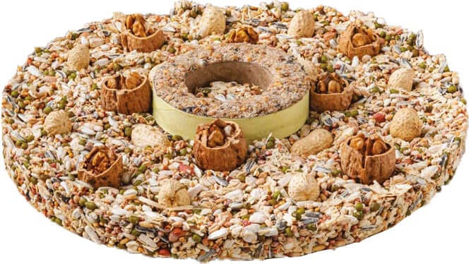 AnimalstoreXL Boon Voedertaart met Vetring 24cm