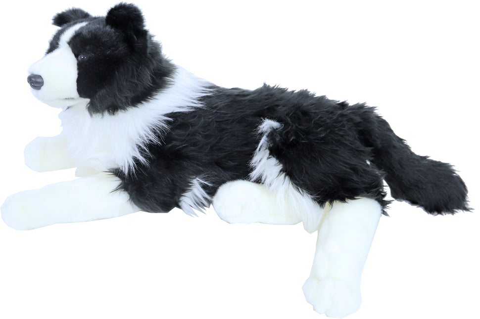 AnimalstoreXL Boony Deco Border Collie Pluche Liggend 53cm