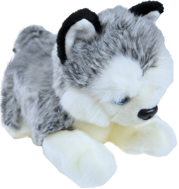AnimalstoreXL Boony Husky Pluche Liggend 20cm