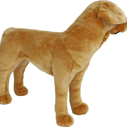 AnimalstoreXL Boony Labrador Pluche Staand Blond 53cm