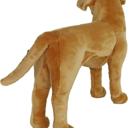 AnimalstoreXL Boony Labrador Pluche Staand Blond 53cm