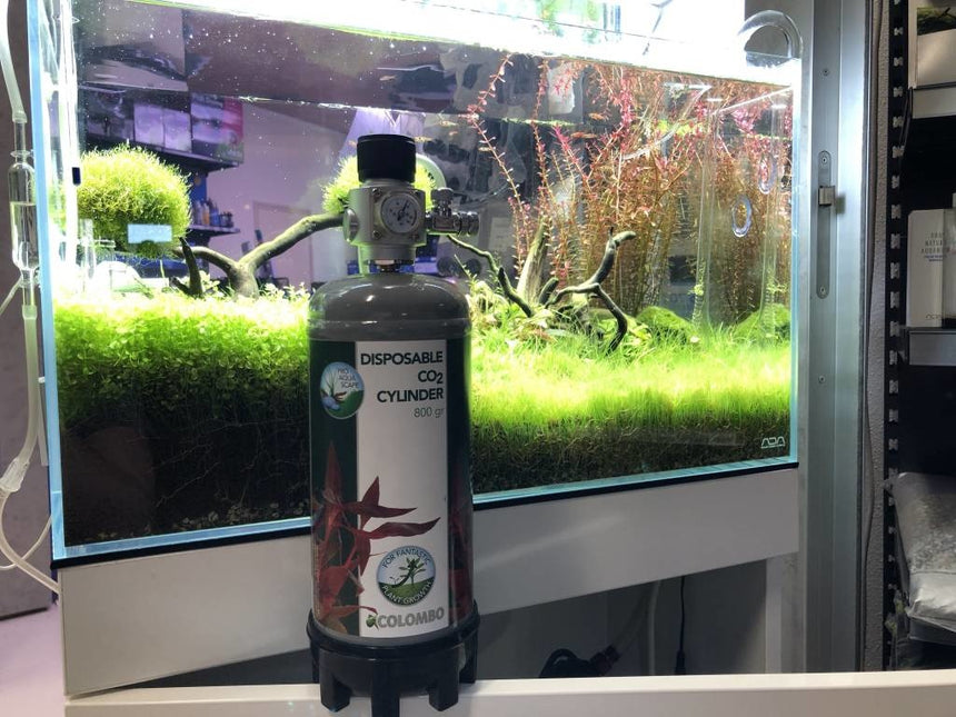 AnimalstoreXL CO2 Profi set