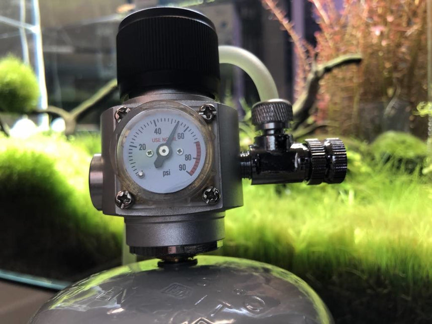 AnimalstoreXL CO2 Profi set