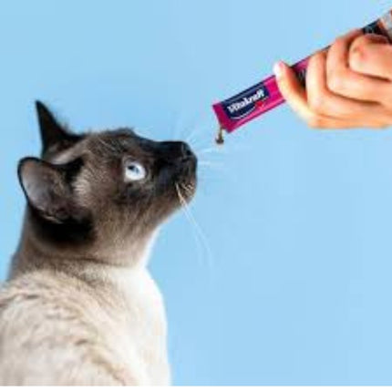 Kat Flüssiger Snack Huhn & Taurin 6 Stück