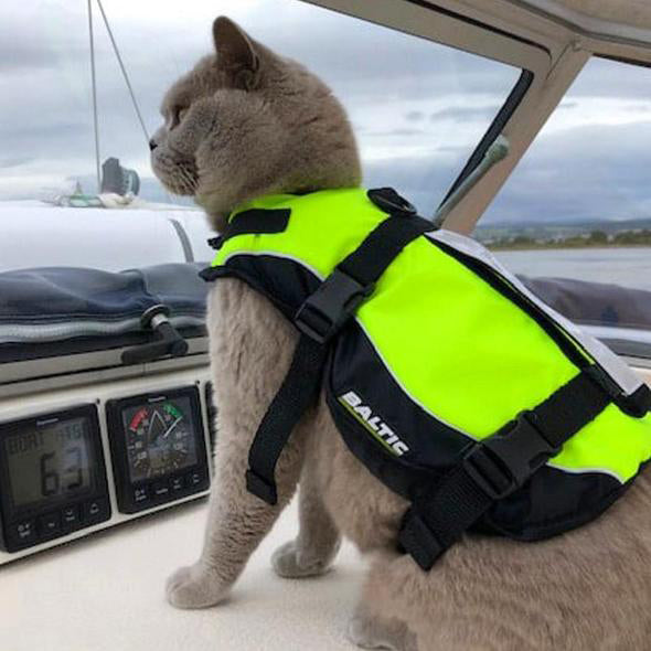 AnimalstoreXL Kattenzwemvest Maja S Geel/Zwart