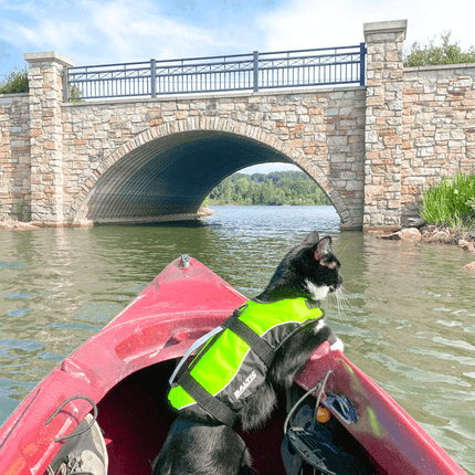 AnimalstoreXL Kattenzwemvest Maja S Geel/Zwart