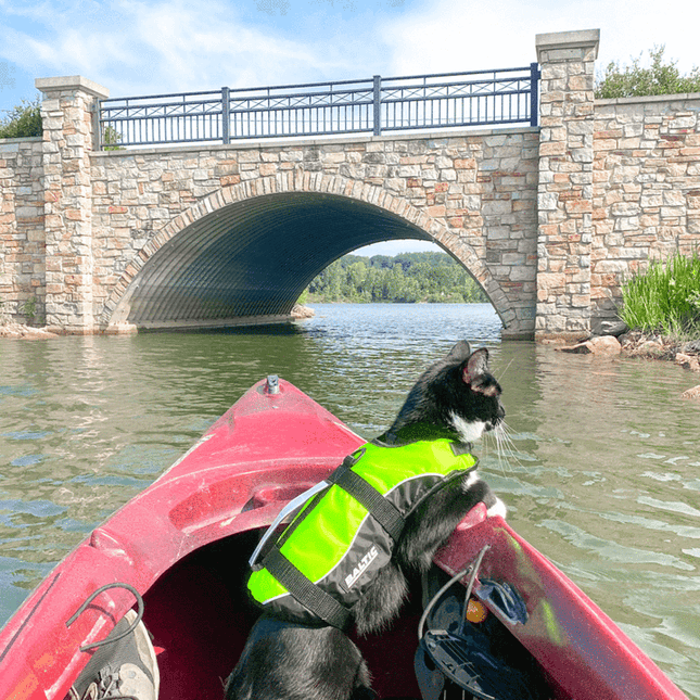 AnimalstoreXL Kattenzwemvest Maja S Geel/Zwart