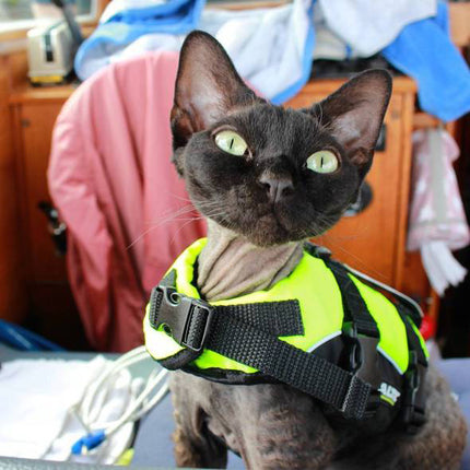 AnimalstoreXL Kattenzwemvest Maja S Geel/Zwart