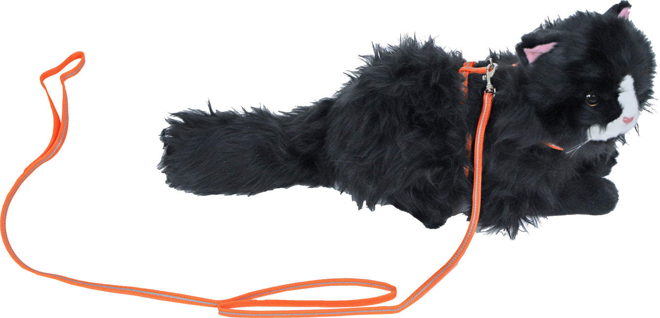 AnimalstoreXL Boon Kittentuig Nylon met Lijn Neon Oranje Refl.