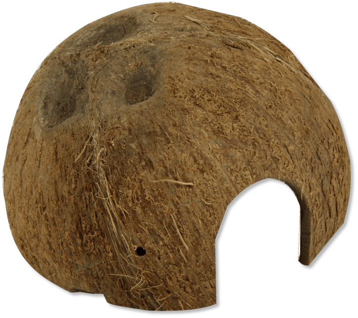 AnimalstoreXL Cocos Cava 1/2 Large