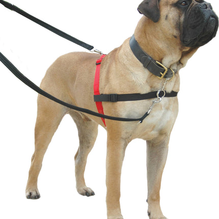 AnimalstoreXL Company Of Animals Halti Frontcontrol Harness R Zw Small