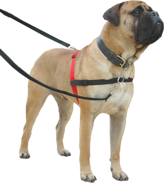AnimalstoreXL Company Of Animals Halti Frontcontrol Harness R Zw Small
