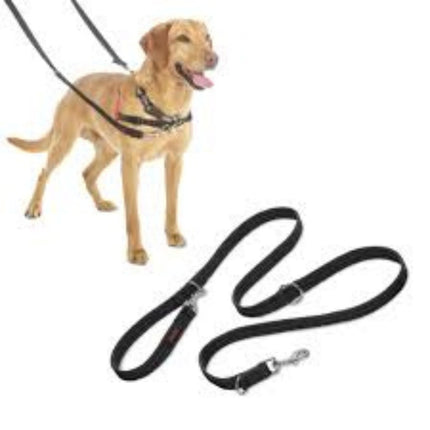 Company Of Animals Trainingsleine Klein Schwarz