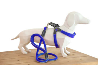 AnimalstoreXL Coralpina Leash Cinquet. Blauw 1 10cm