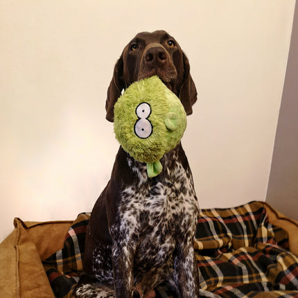 AnimalstoreXL Knuffel Vis Gary Groen