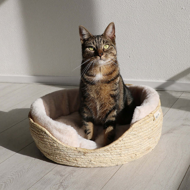 AnimalstoreXL D&D Home - Ella Mand 45x45x25cm - Wit