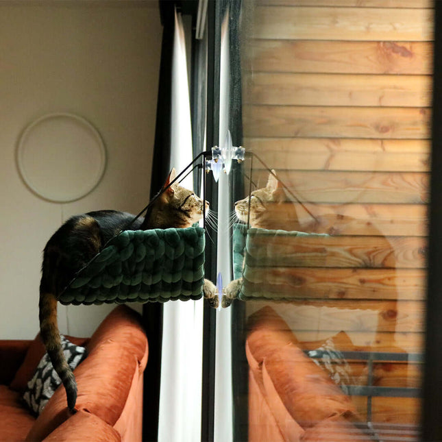 AnimalstoreXL D&D Home - Sofia Vensterbed - 46x34x51cm max 10kg - Groen