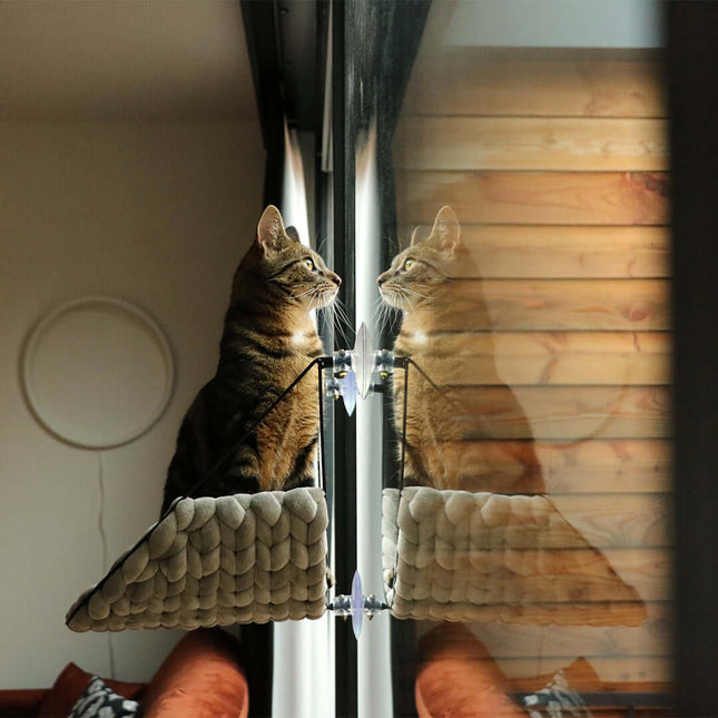 D&D Zuhause - Sofia Vensterbed - 46x34x51cm max 10kg - Grün - Hellgrau