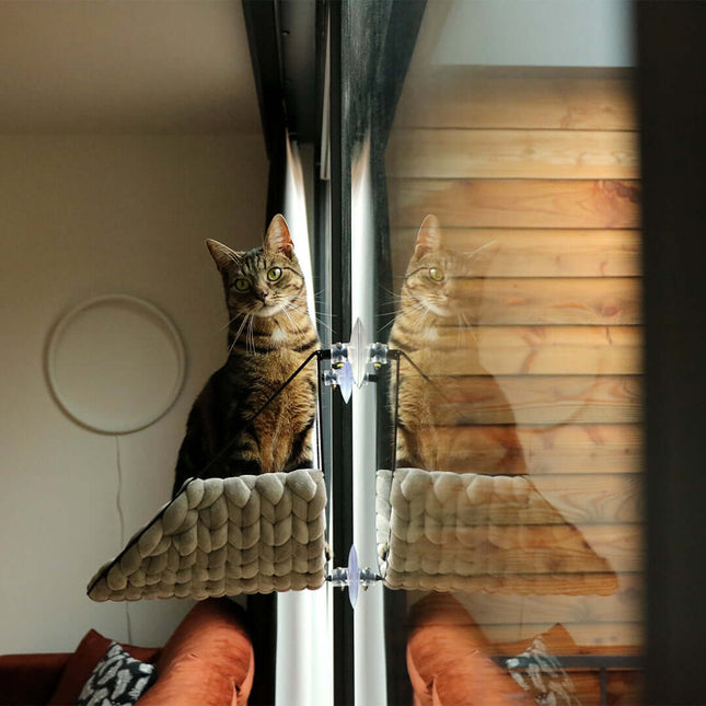 D&D Zuhause - Sofia Vensterbed - 46x34x51cm max 10kg - Grün - Hellgrau