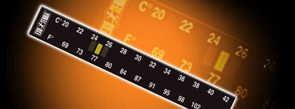 AnimalstoreXL Digitale Thermometer 2