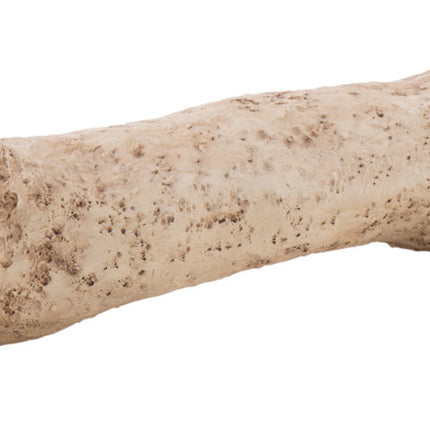 AnimalstoreXL Dinosaurusbot