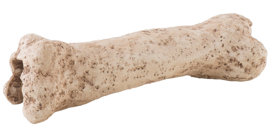 AnimalstoreXL Dinosaurusbot