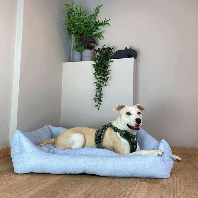 AnimalstoreXL Duvoplus - Mand Rechthoekig Mellow - XS 45x30x15cm Blauw