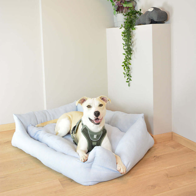 AnimalstoreXL Duvoplus - Mand Rechthoekig Mellow - XS 45x30x15cm Blauw