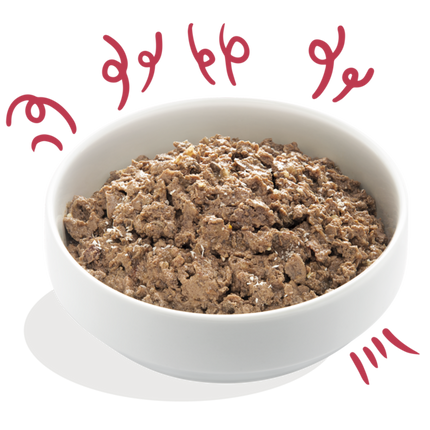 AnimalstoreXL Edgard & Cooper Volwassen Hond Kuipje Bio Rund Graanvrij