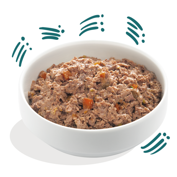 AnimalstoreXL Edgard & Cooper Volwassen Hond Kuipje Bio Vis Graanvrij