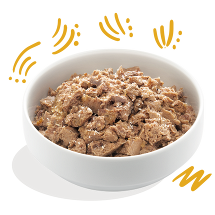 AnimalstoreXL Edgard & Cooper Volwassen Hond Kuipje Bio Kalkoen Graanvrij