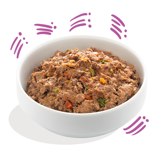 AnimalstoreXL Edgard & Cooper - Hond Kuipje Wild & Eend Graanvrij