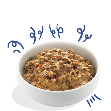 AnimalstoreXL Edgard & Cooper - Hond Kuipje Zalm & Kalkoen Graanvrij