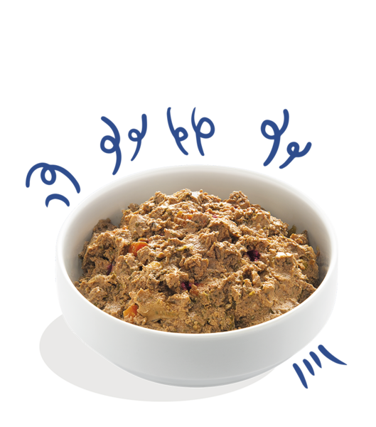 AnimalstoreXL Edgard & Cooper - Hond Kuipje Zalm & Kalkoen Graanvrij