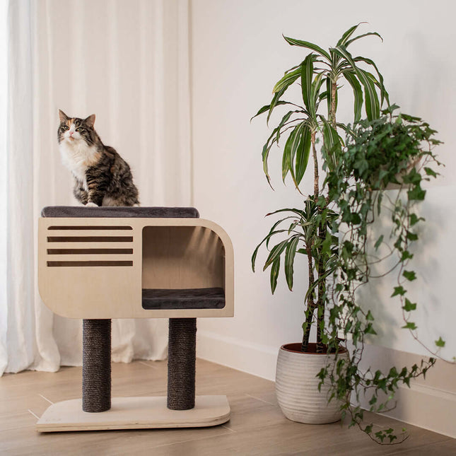 AnimalstoreXL Ebi Krabpaal Atlas 60 57,5x30x63,5cm Beige/Antraciet